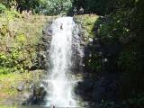 kauai rappelling